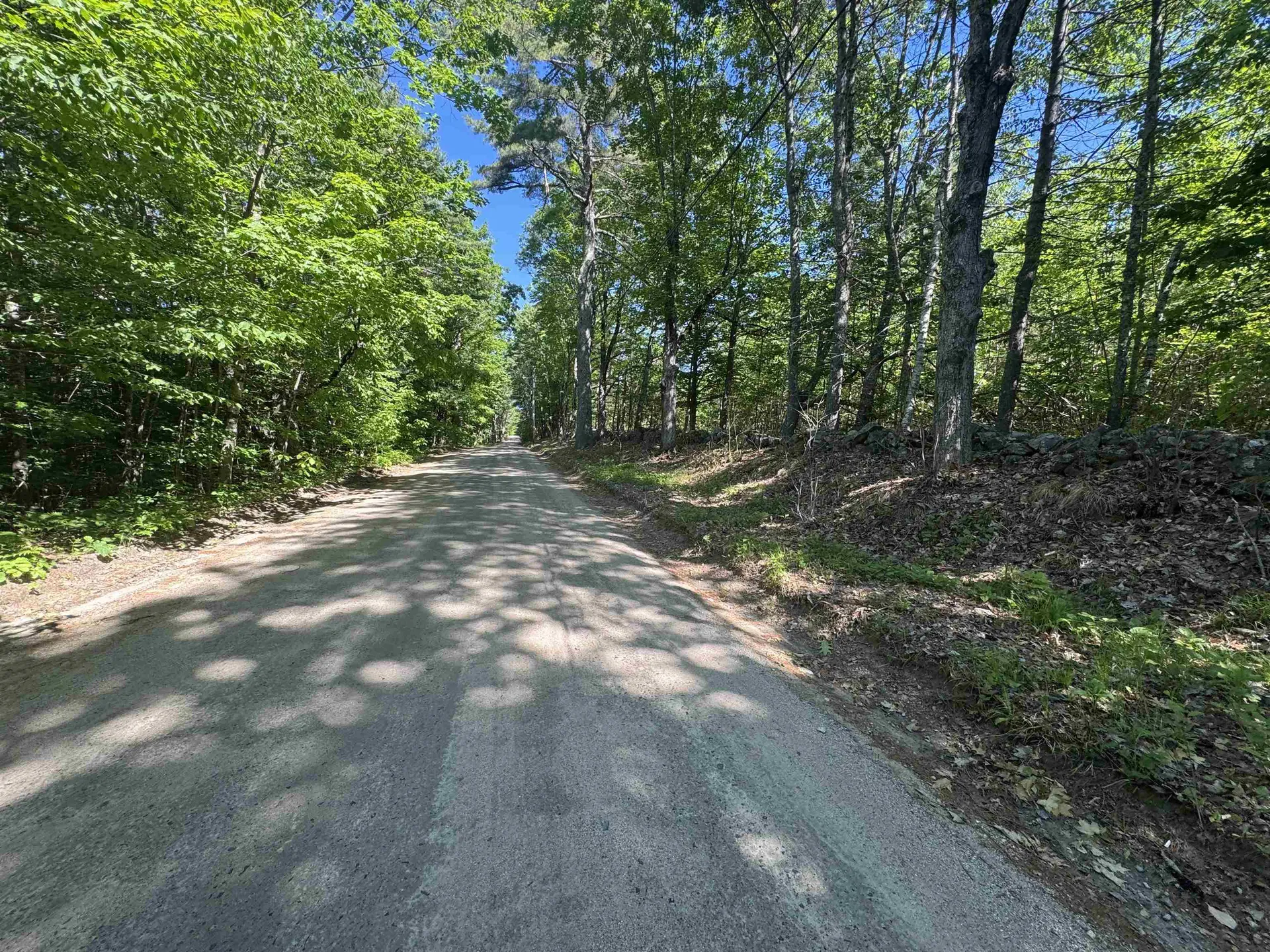 Lot 20.3(tm4) John Hodgdon Road Ossipee NH 03864