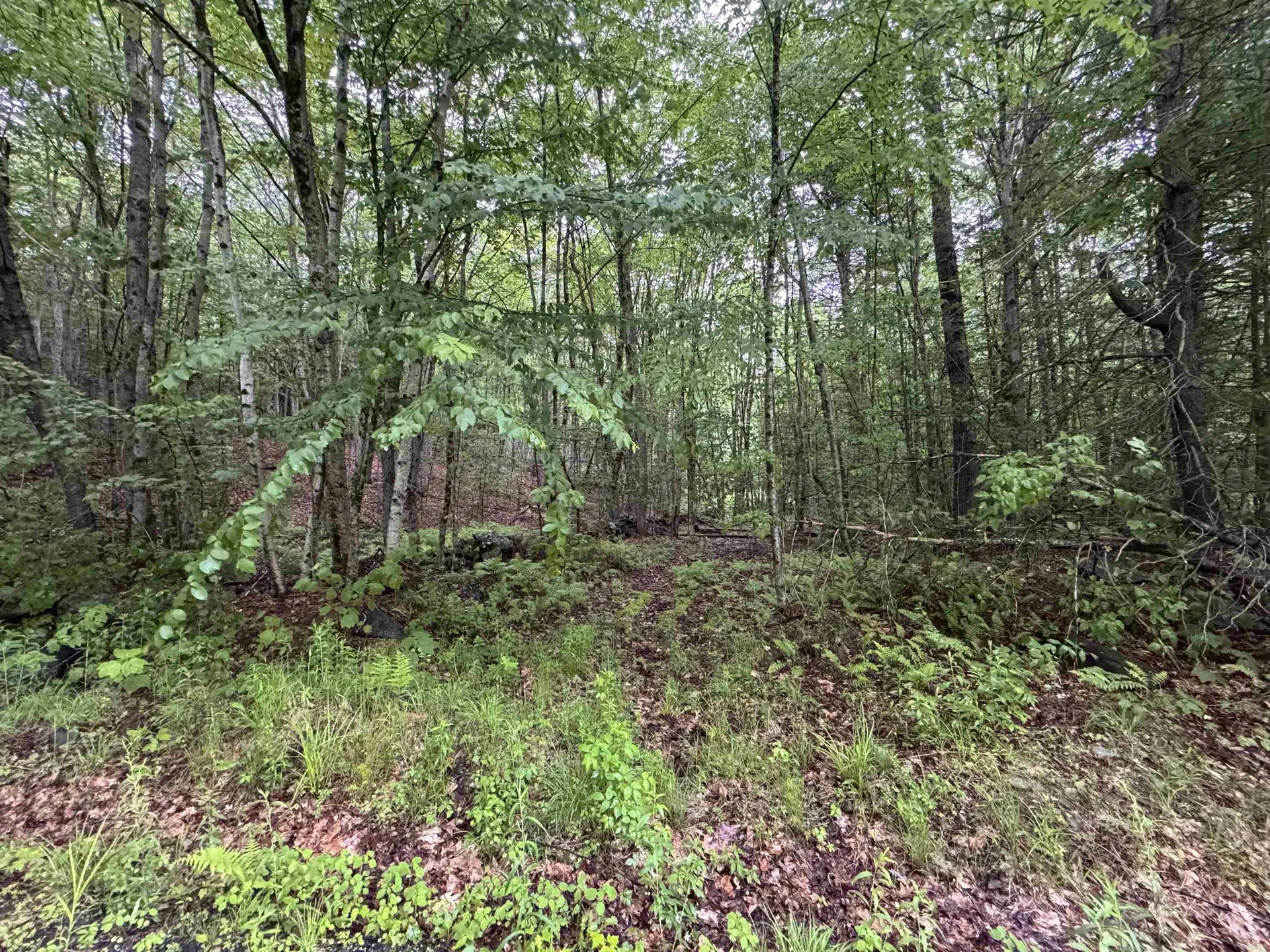101 Gilsum Road Sullivan NH 03445