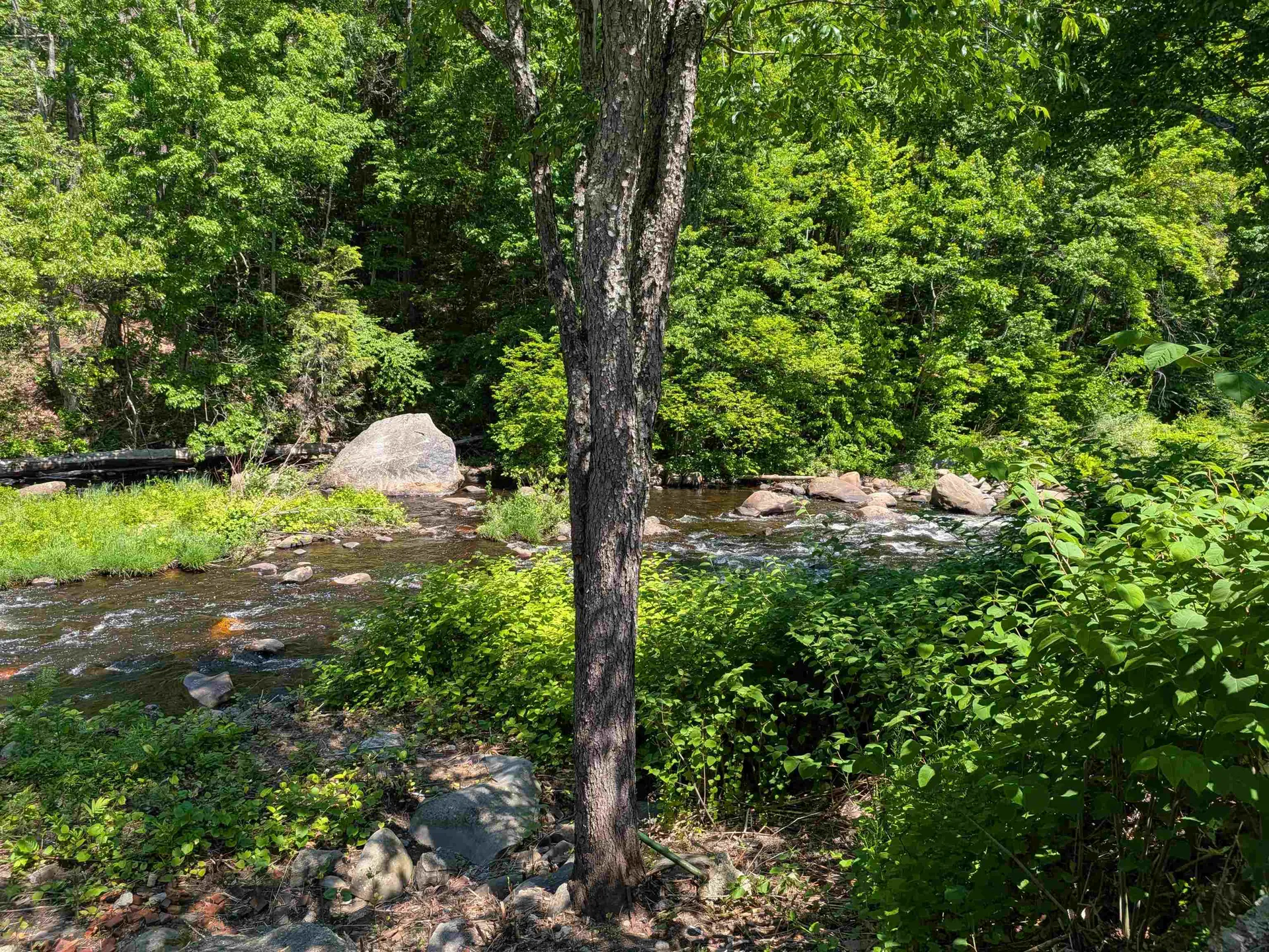 61 Island Street Wilton NH 03086