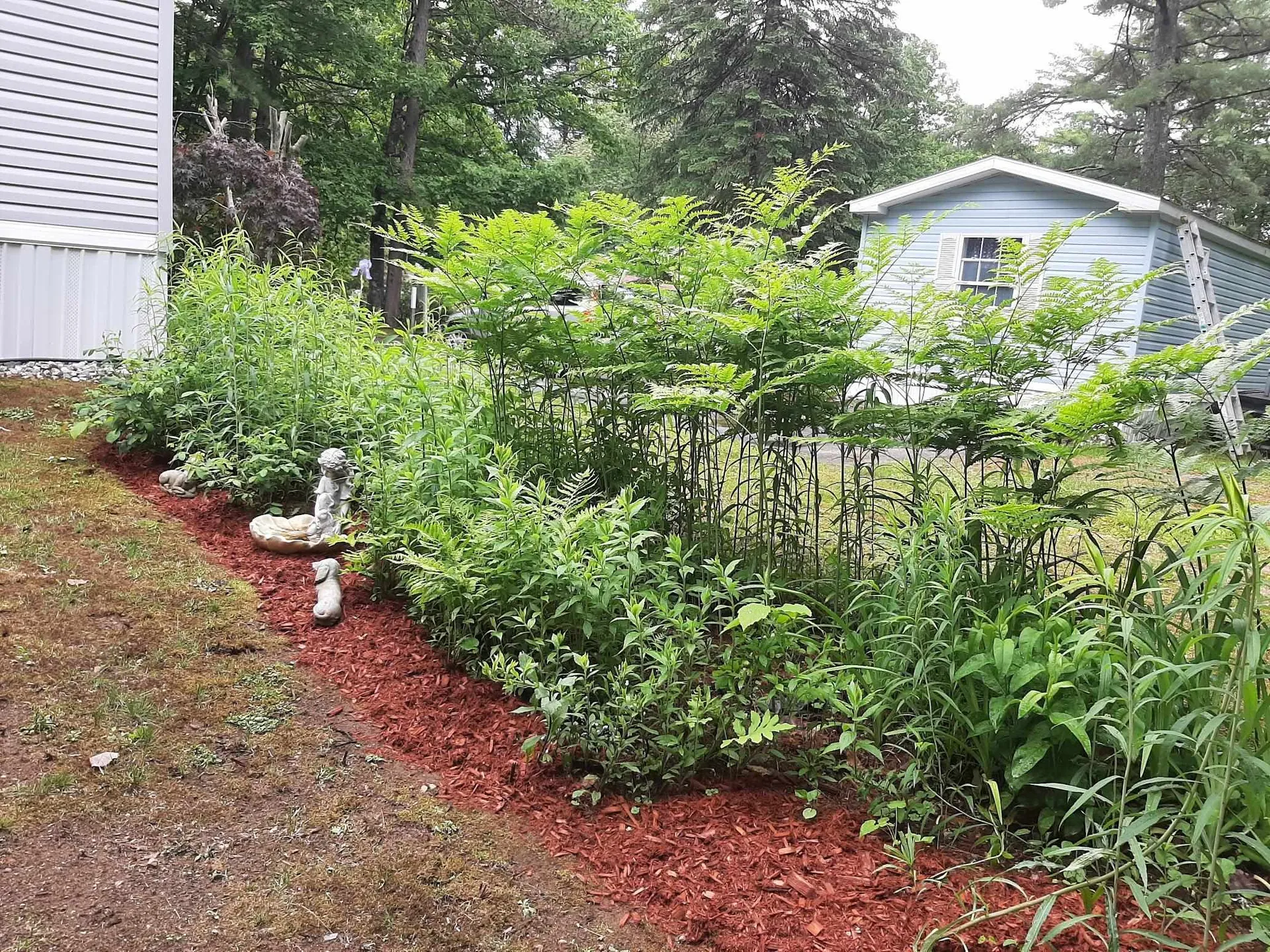 15 Loon Mountain Lane Conway NH 03813