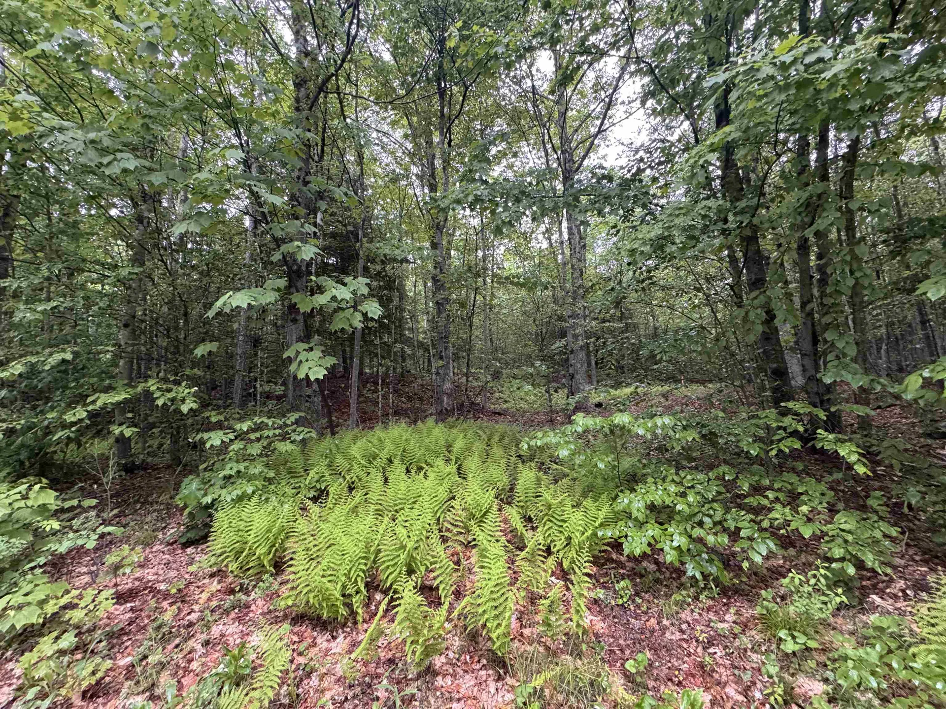101 Gilsum Road Sullivan NH 03445