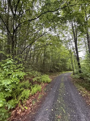 101 Gilsum Road Sullivan NH 03445