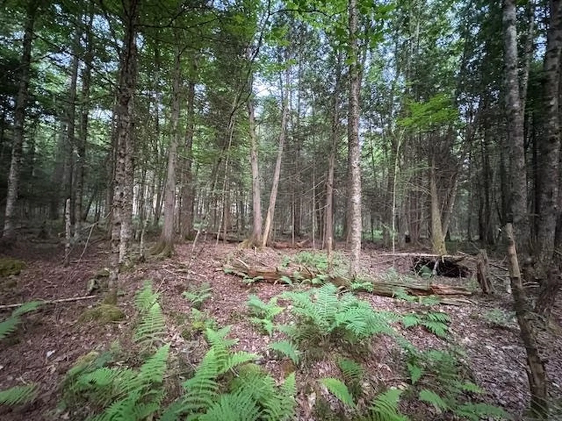 95 Langway Road Lyman NH 03585