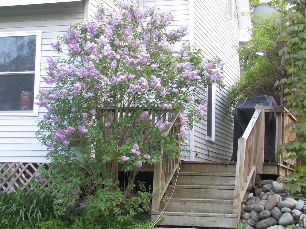 77 Maple Street Orleans VT 05860