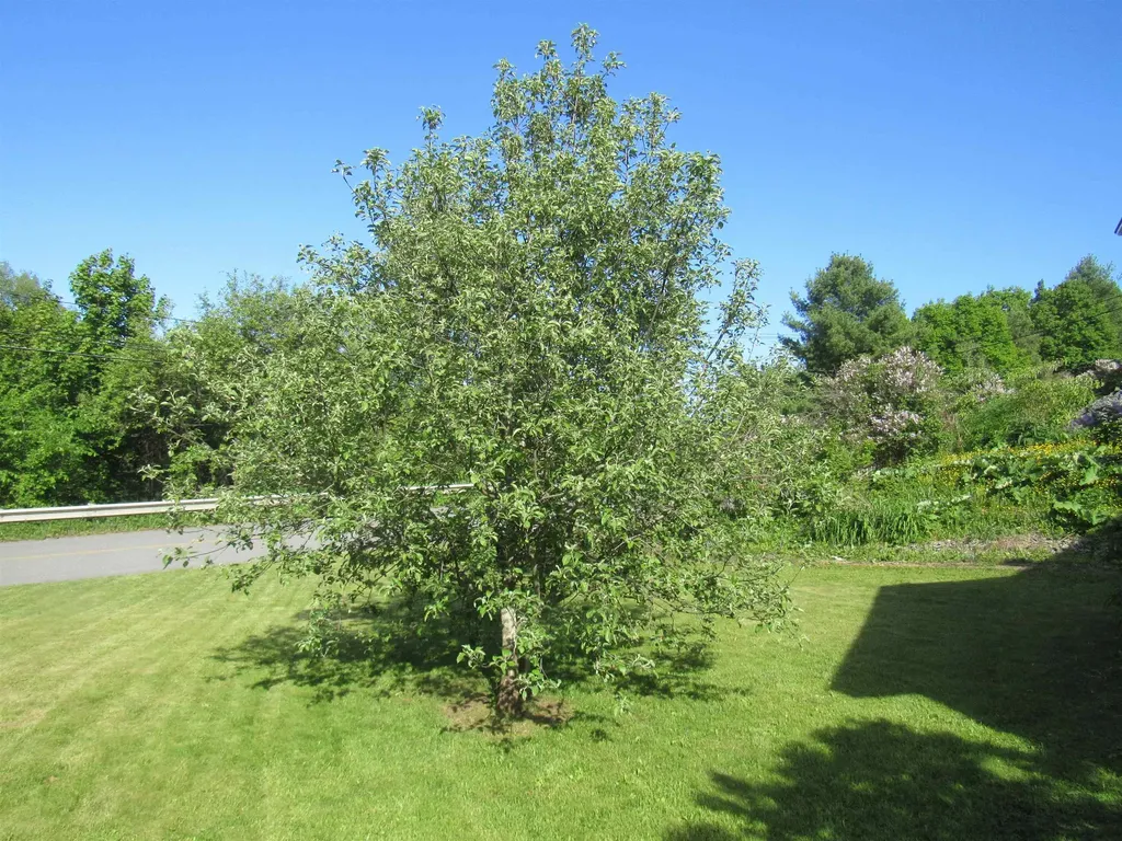 77 Maple Street Orleans VT 05860