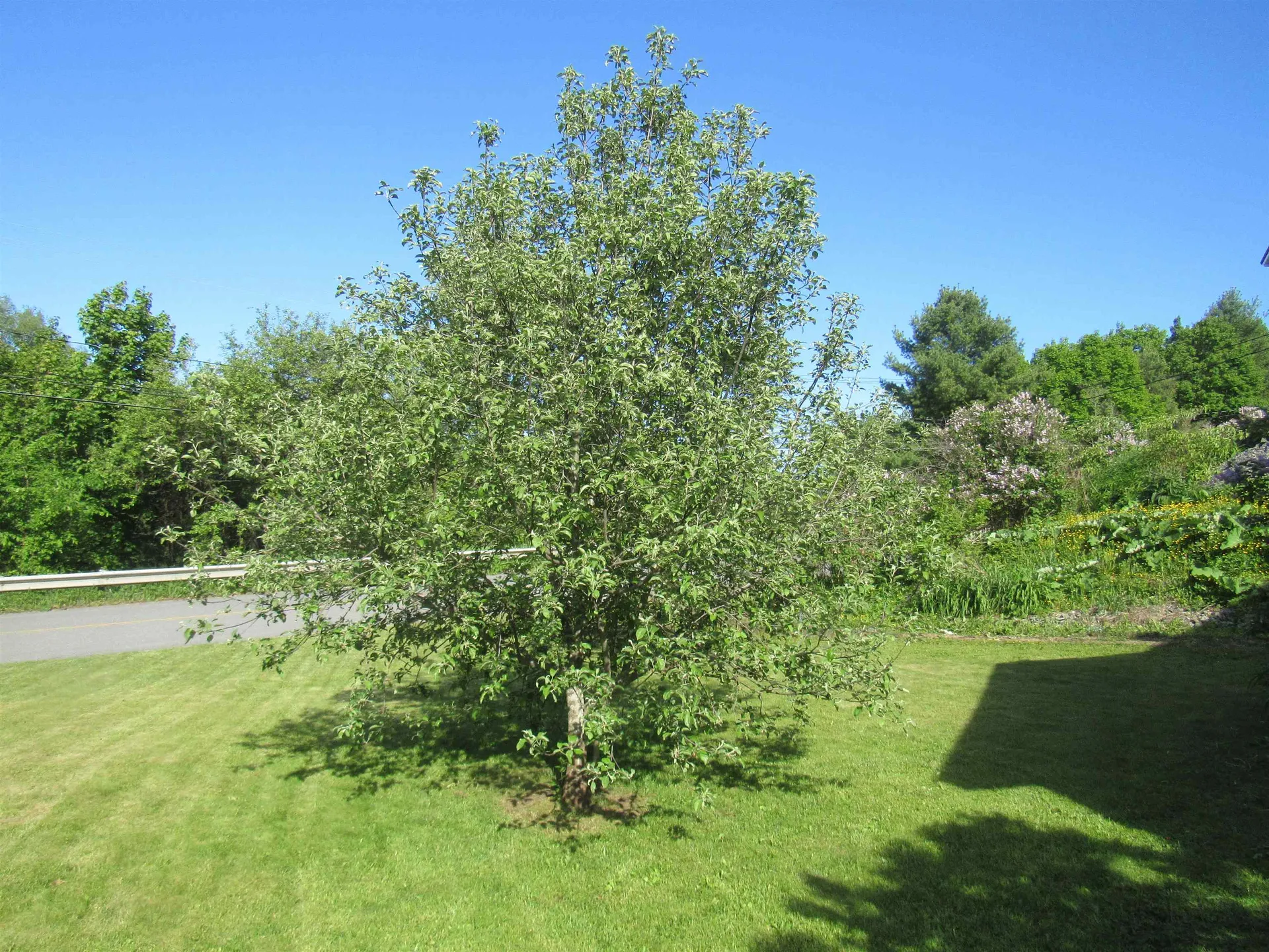 77 Maple Street Orleans VT 05860