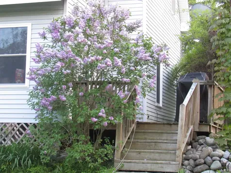 77 Maple Street Orleans VT 05860