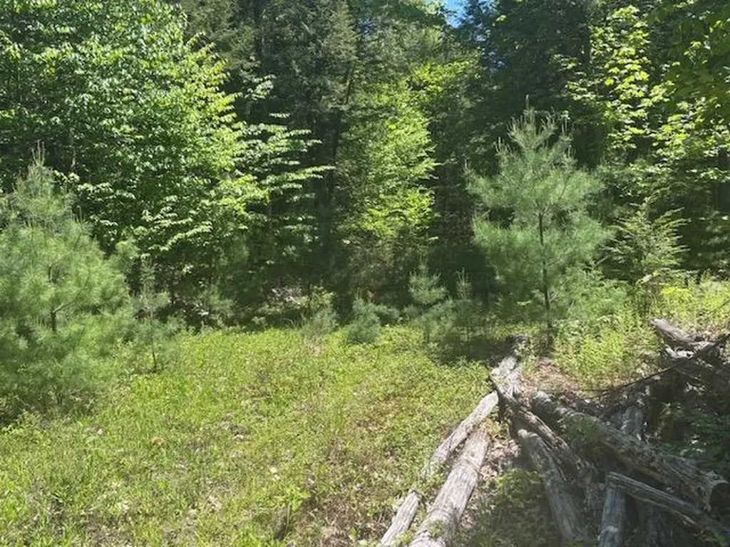 1010 Green Mountain Road Effingham NH 03882