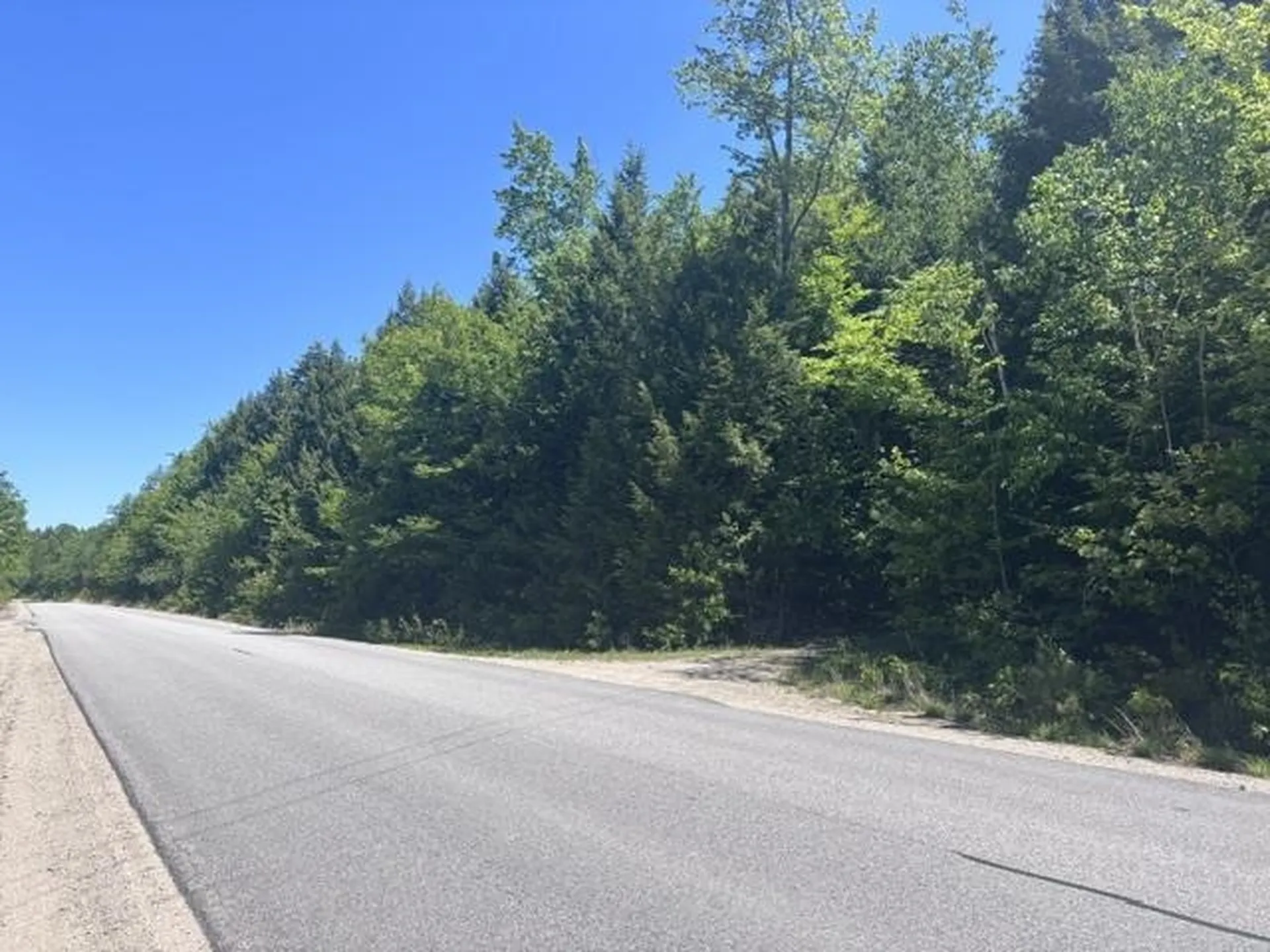 1010 Green Mountain Road Effingham NH 03882