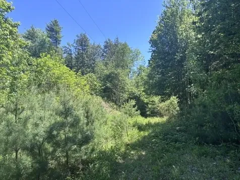 1010 Green Mountain Road Effingham NH 03882