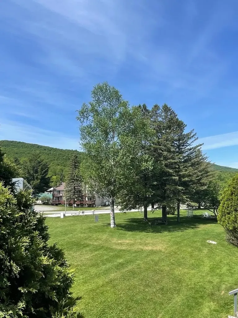 35 Mountain View Drive Cambridge VT 05464