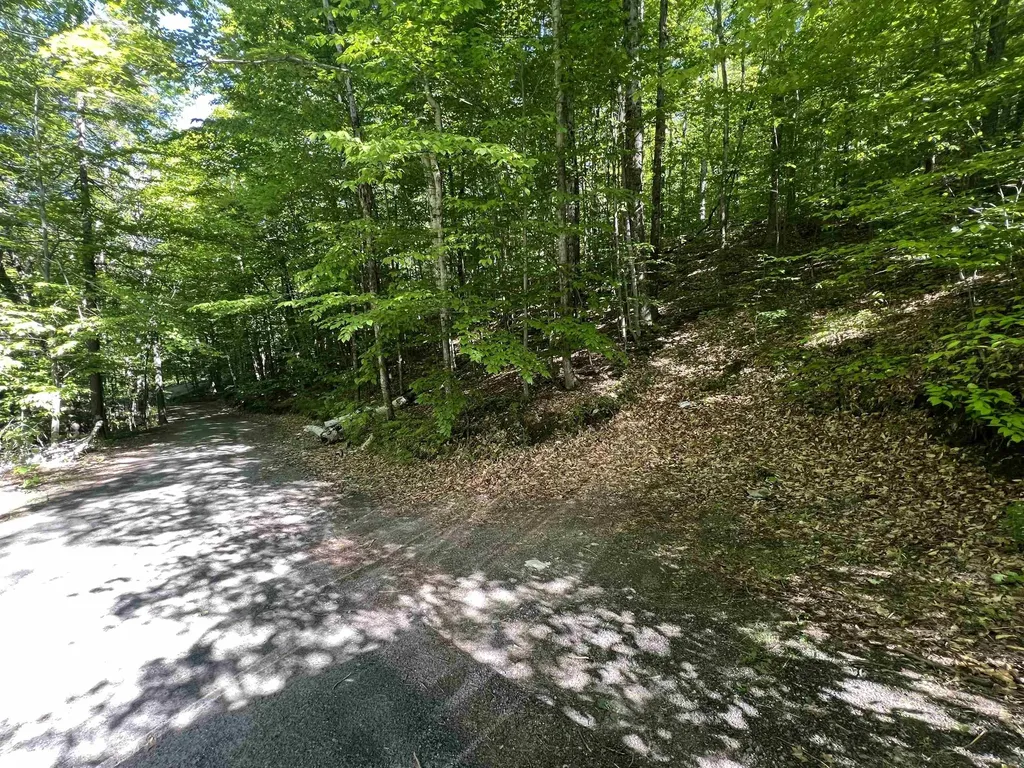 1190 Long Hill Road Woodstock VT 05071