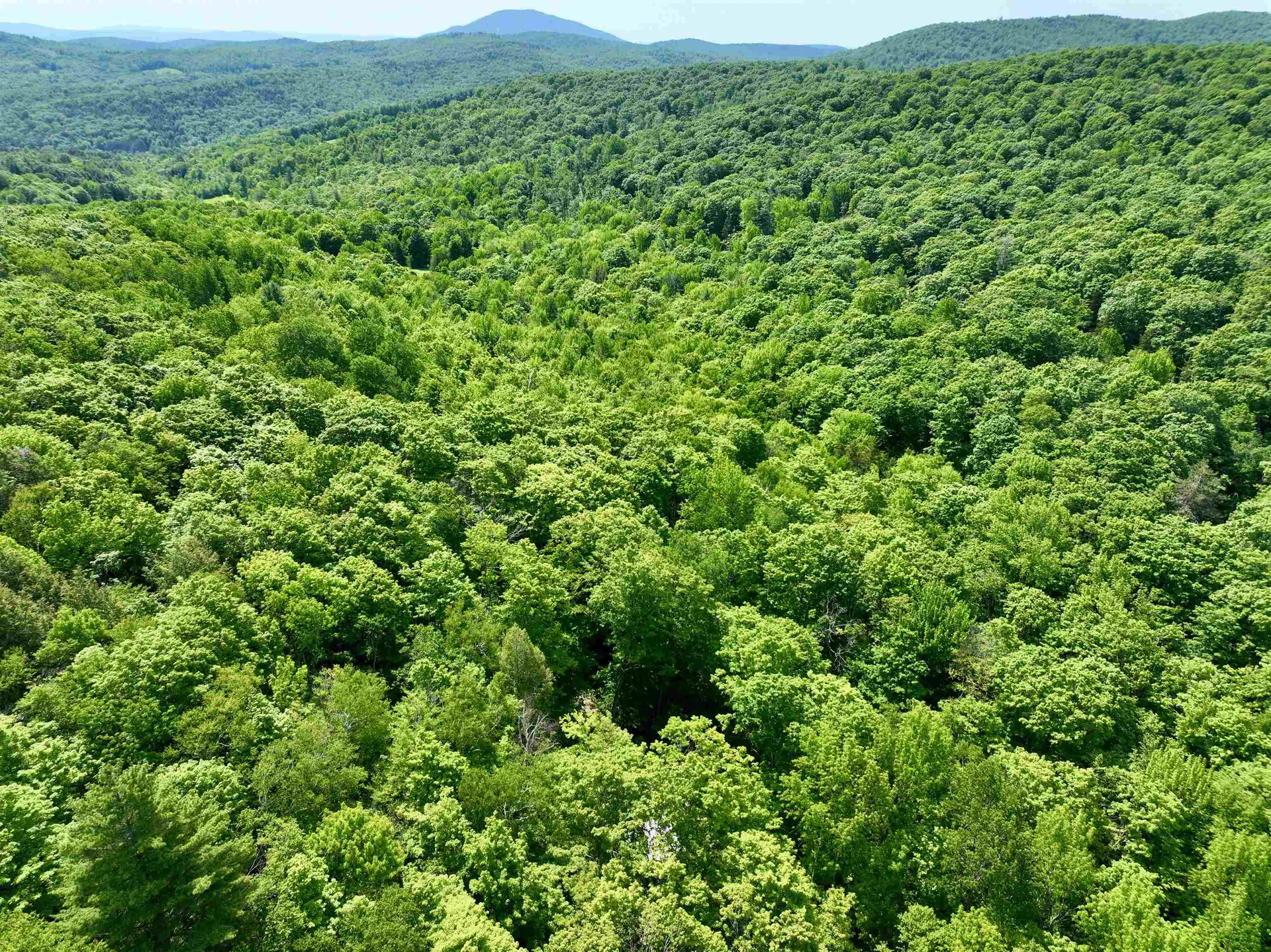 1190 Long Hill Road Woodstock VT 05071
