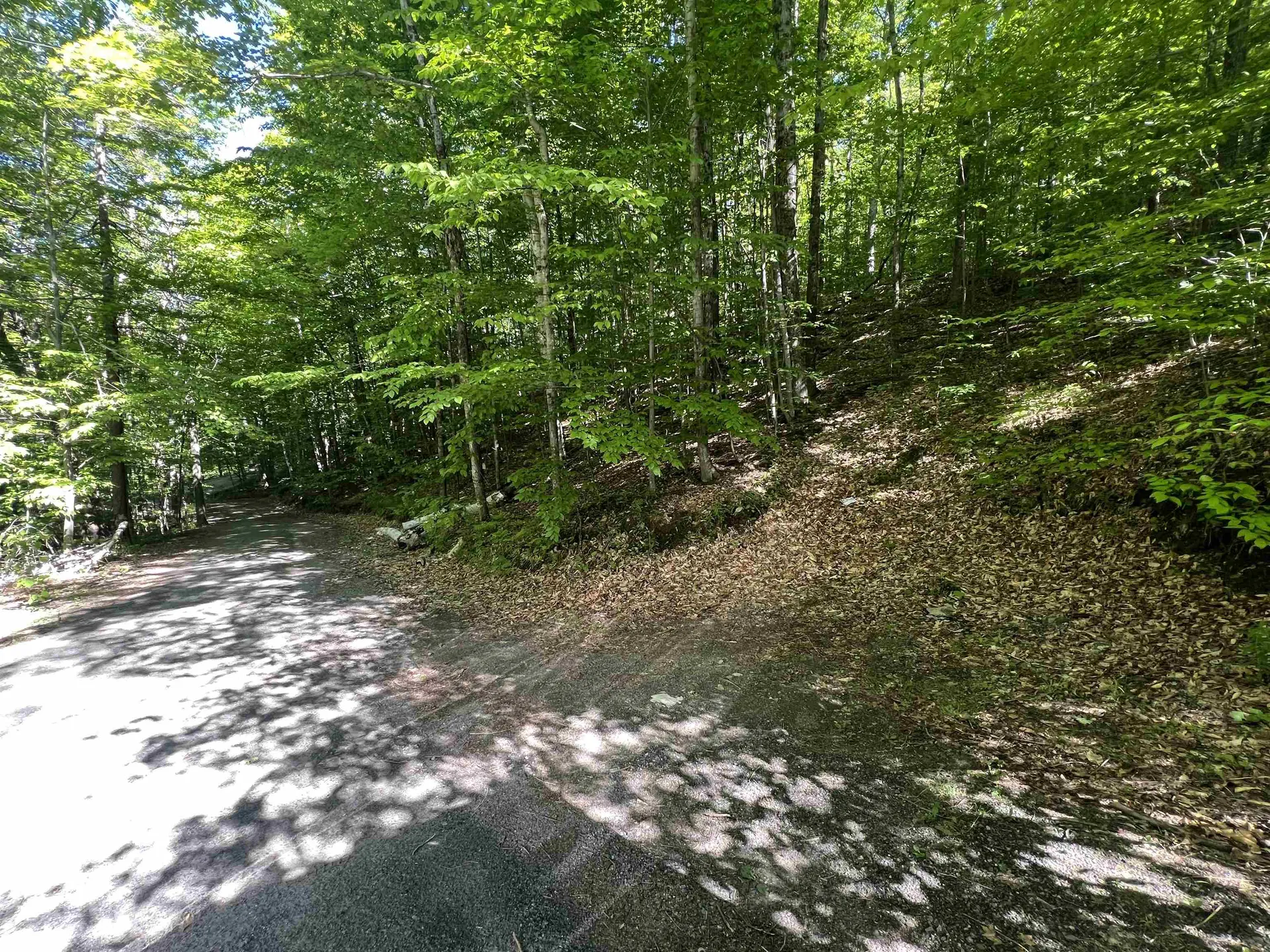 1190 Long Hill Road Woodstock VT 05071