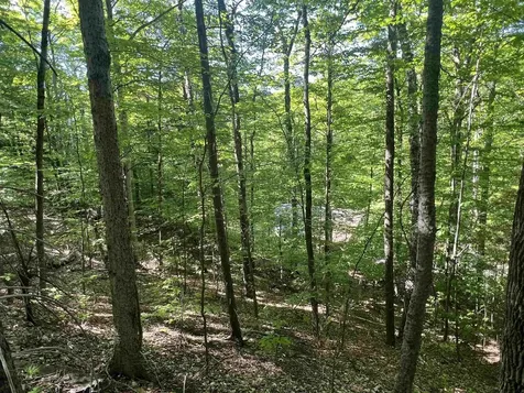 1190 Long Hill Road Woodstock VT 05071