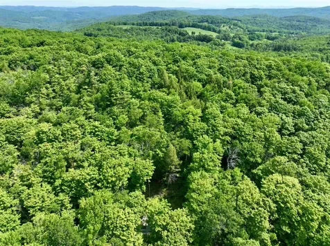 1190 Long Hill Road Woodstock VT 05071