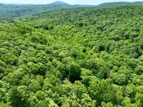 1190 Long Hill Road Woodstock VT 05071