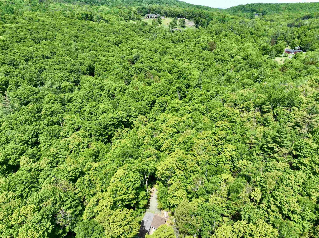1190 Long Hill Road Woodstock VT 05071