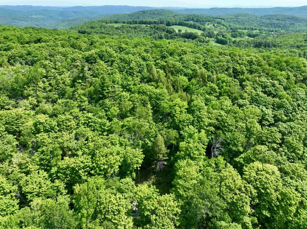 1190 Long Hill Road Woodstock VT 05071