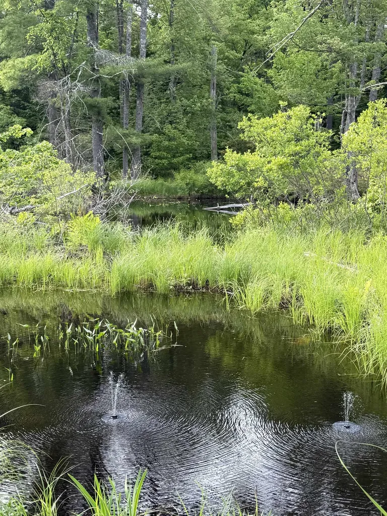 0 Canal Road Wakefield NH 03872