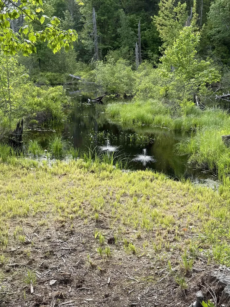 0 Canal Road Wakefield NH 03872