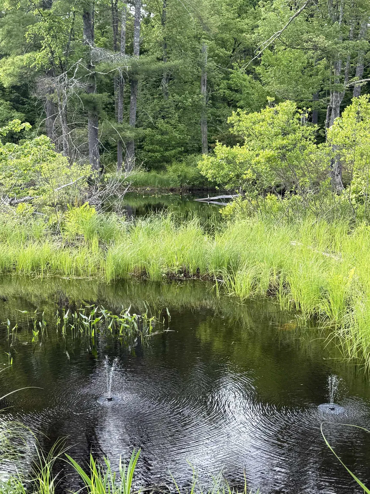 0 Canal Road Wakefield NH 03872
