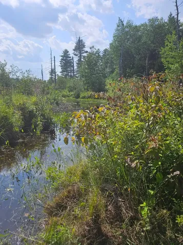 0 Canal Road Wakefield NH 03872