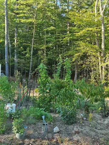 0 Canal Road Wakefield NH 03872