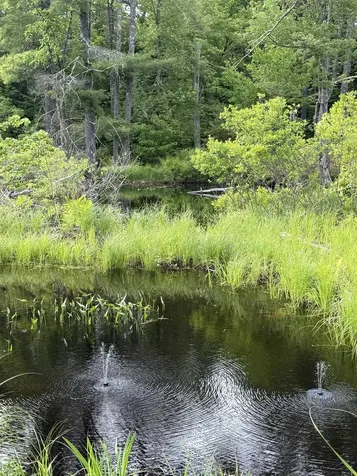 0 Canal Road Wakefield NH 03872