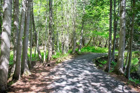 3911 Thaddeus Stevens Road Danville VT 05828