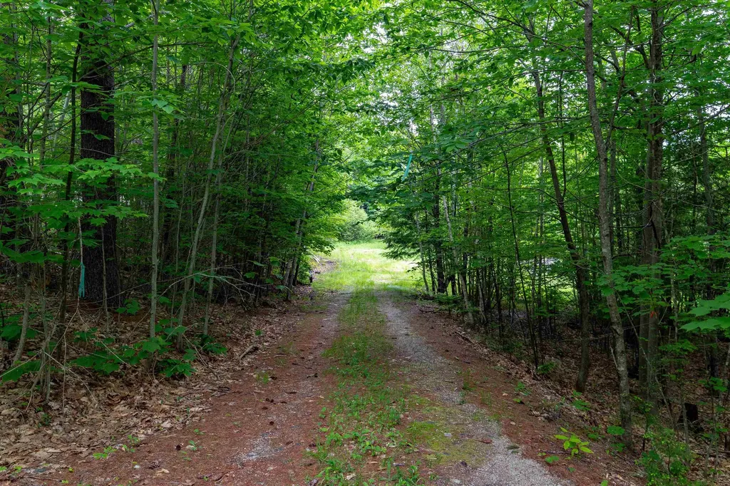 00 & 0b Richardson Road Hiram ME 04041