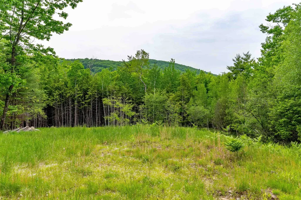 00 & 0b Richardson Road Hiram ME 04041