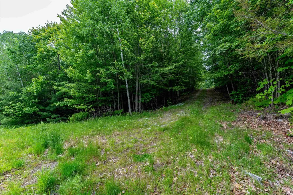 00 & 0b Richardson Road Hiram ME 04041