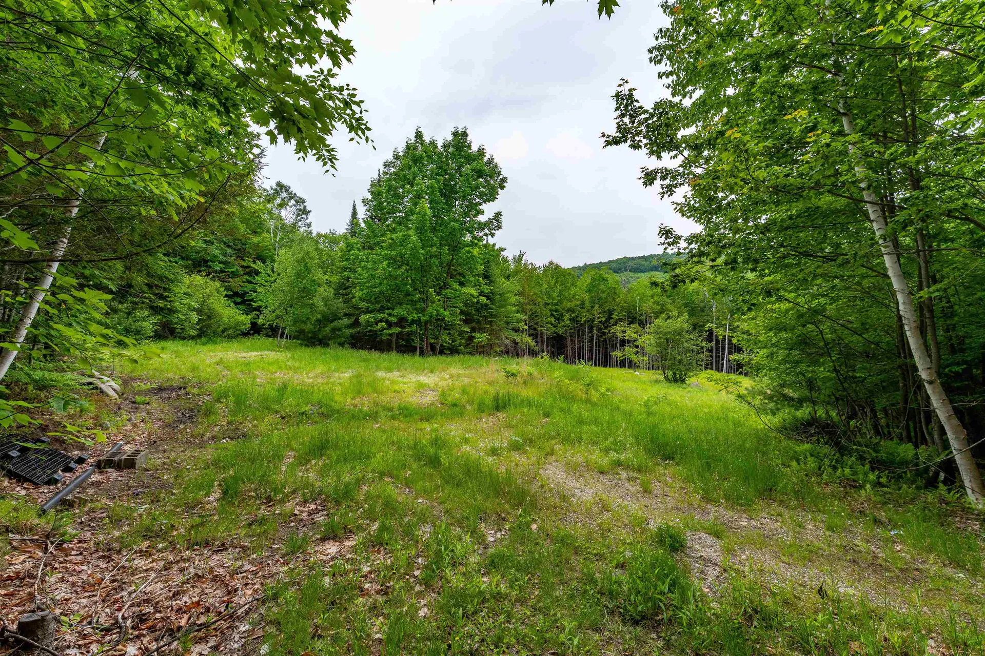 00 & 0b Richardson Road Hiram ME 04041