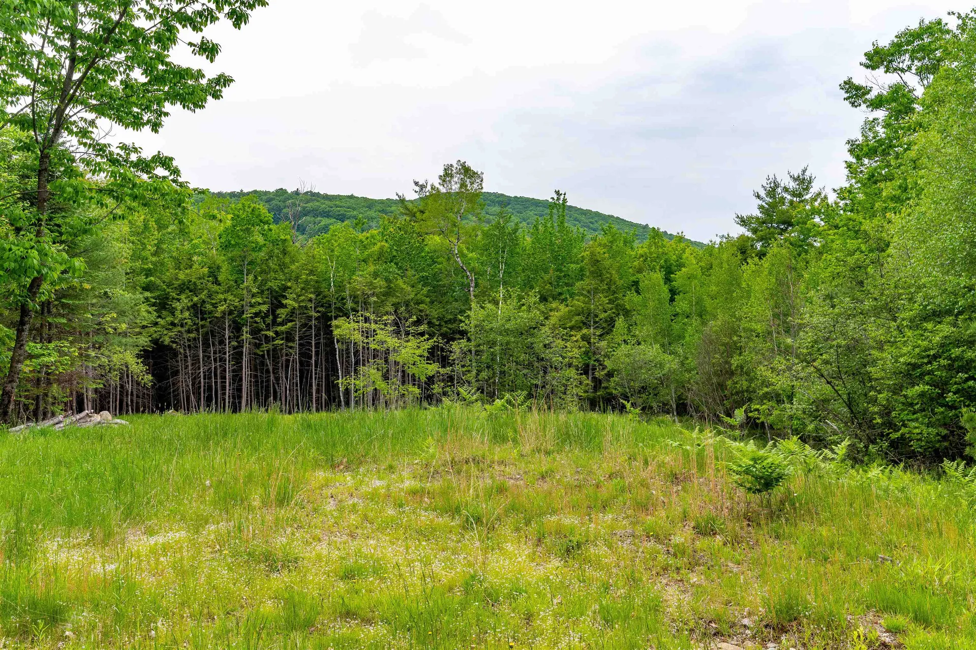 00 & 0b Richardson Road Hiram ME 04041