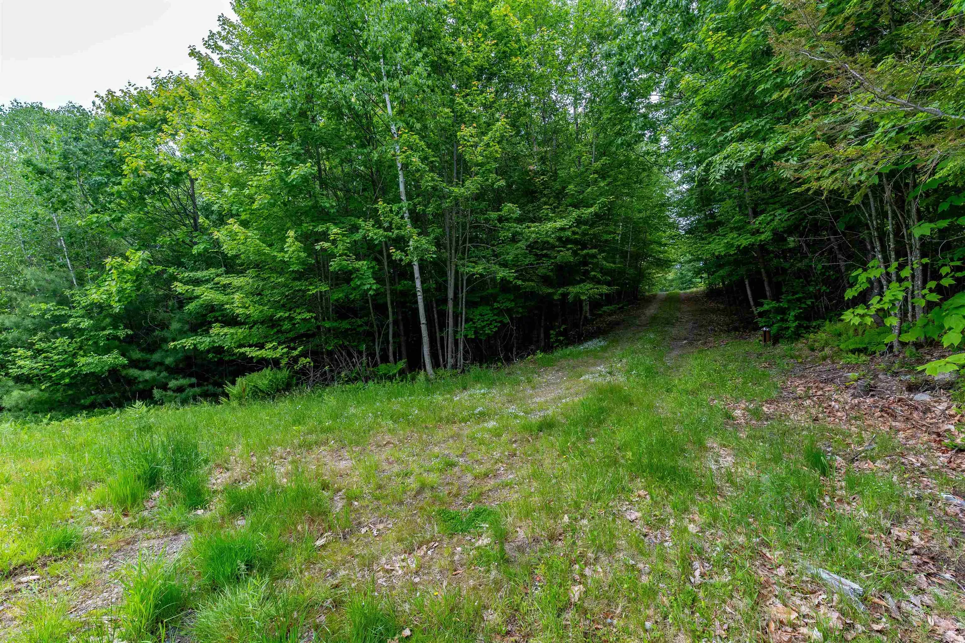 00 & 0b Richardson Road Hiram ME 04041