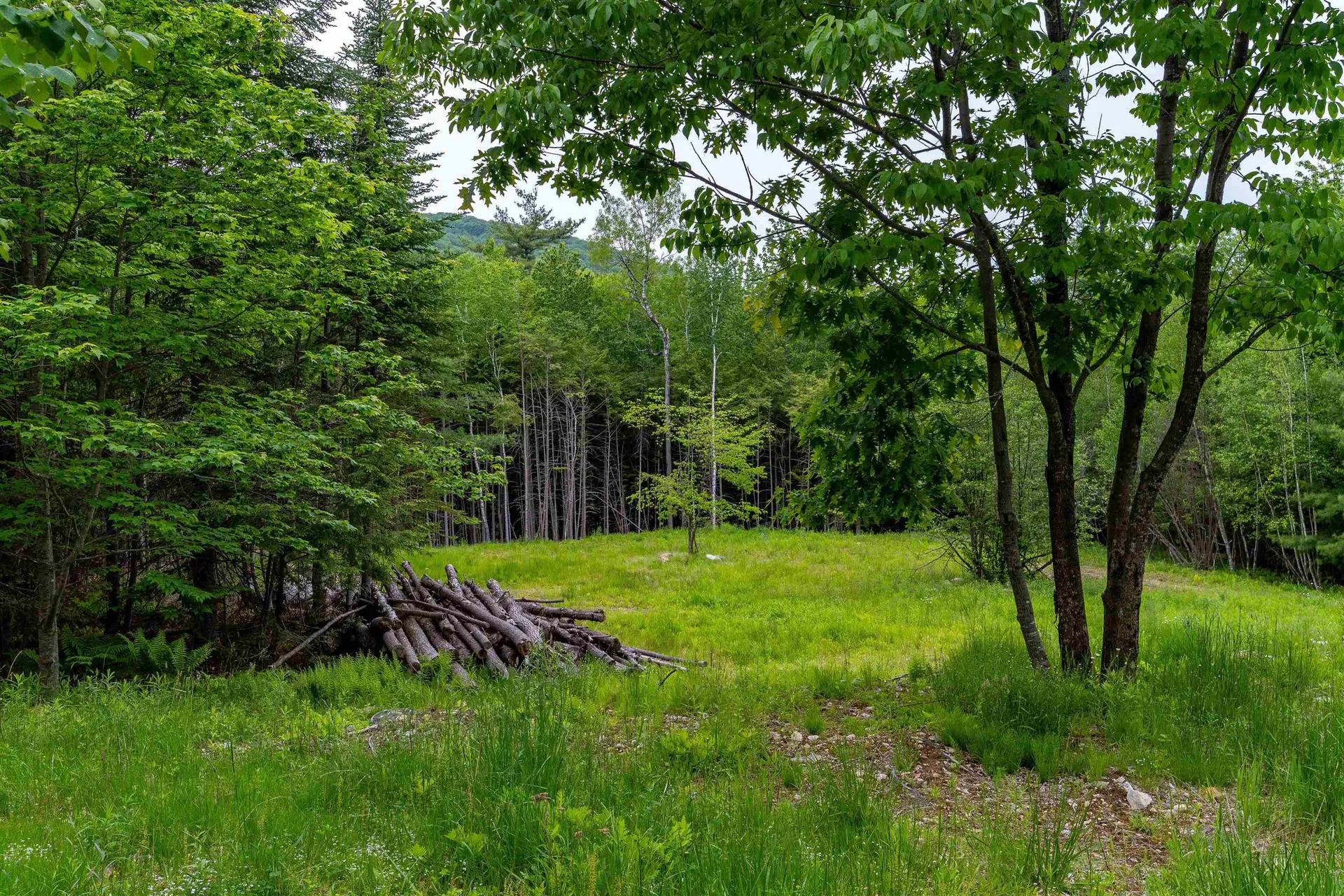 00 & 0b Richardson Road Hiram ME 04041