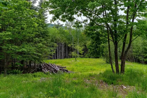 00 & 0b Richardson Road Hiram ME 04041