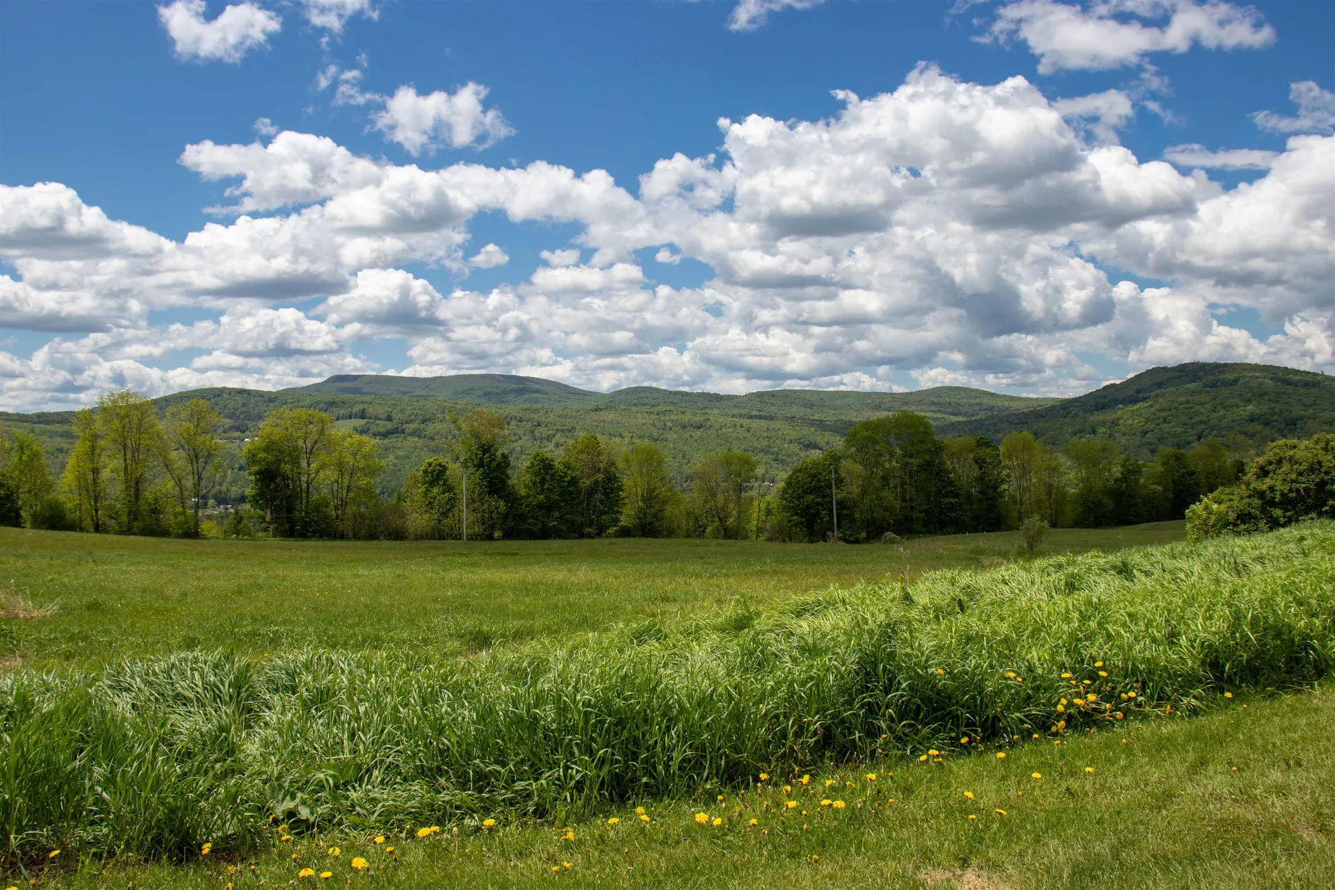 487 Nelson Hill Road Sheffield VT 05866-0165