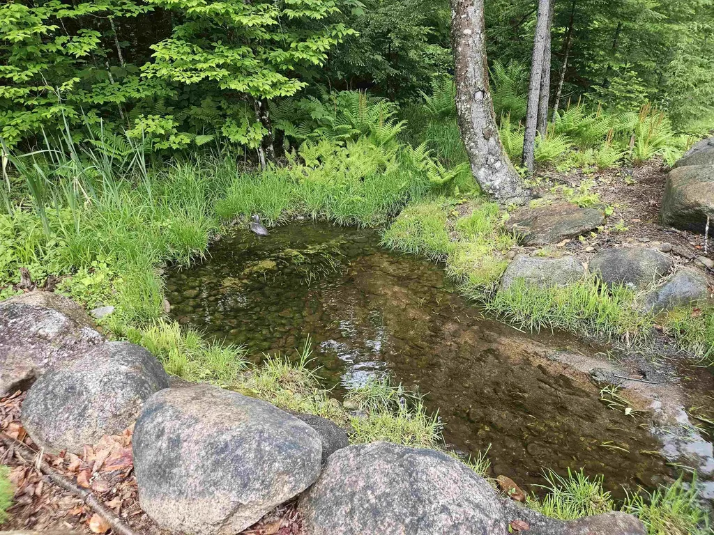 15 Otter Brook Road Woodstock NH 03262