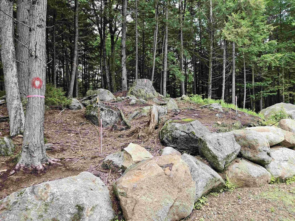 15 Otter Brook Road Woodstock NH 03262
