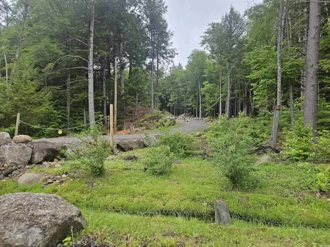 15 Otter Brook Road Woodstock NH 03262