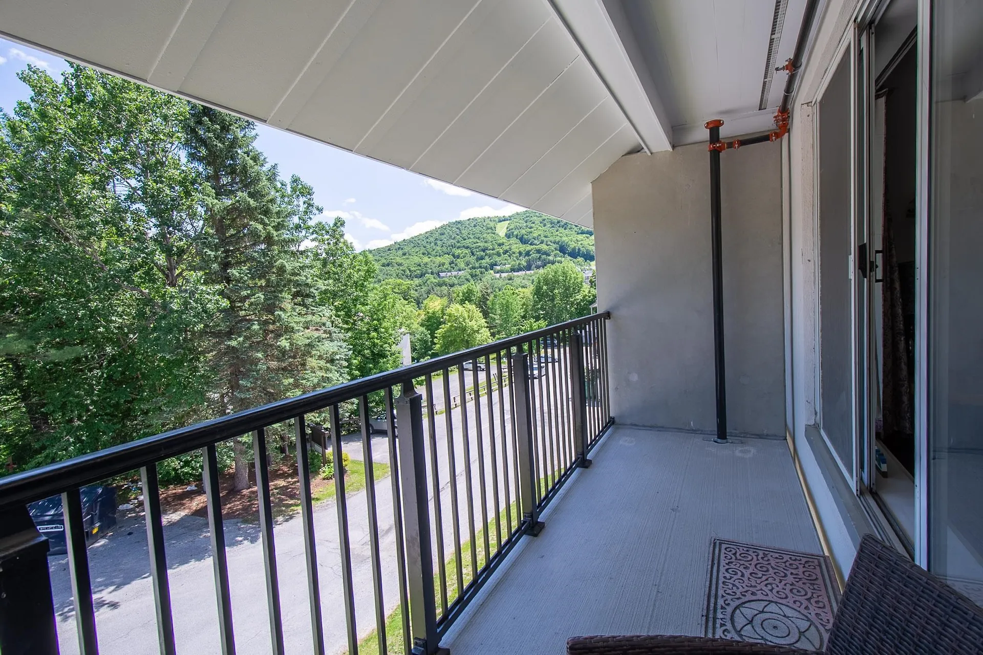 161 Mountainside Drive Warren VT 05674