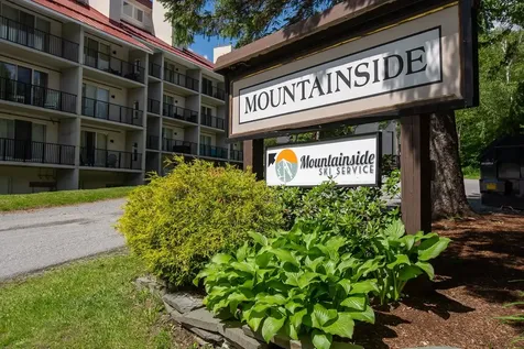 161 Mountainside Drive Warren VT 05674