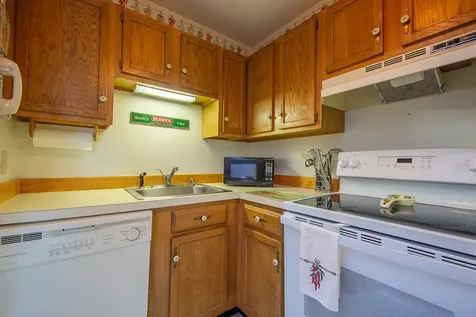 161 Mountainside Drive Warren VT 05674