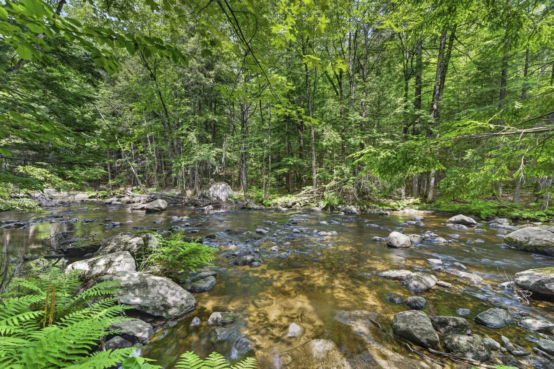 49 Shedd Road Hillsborough NH 03244