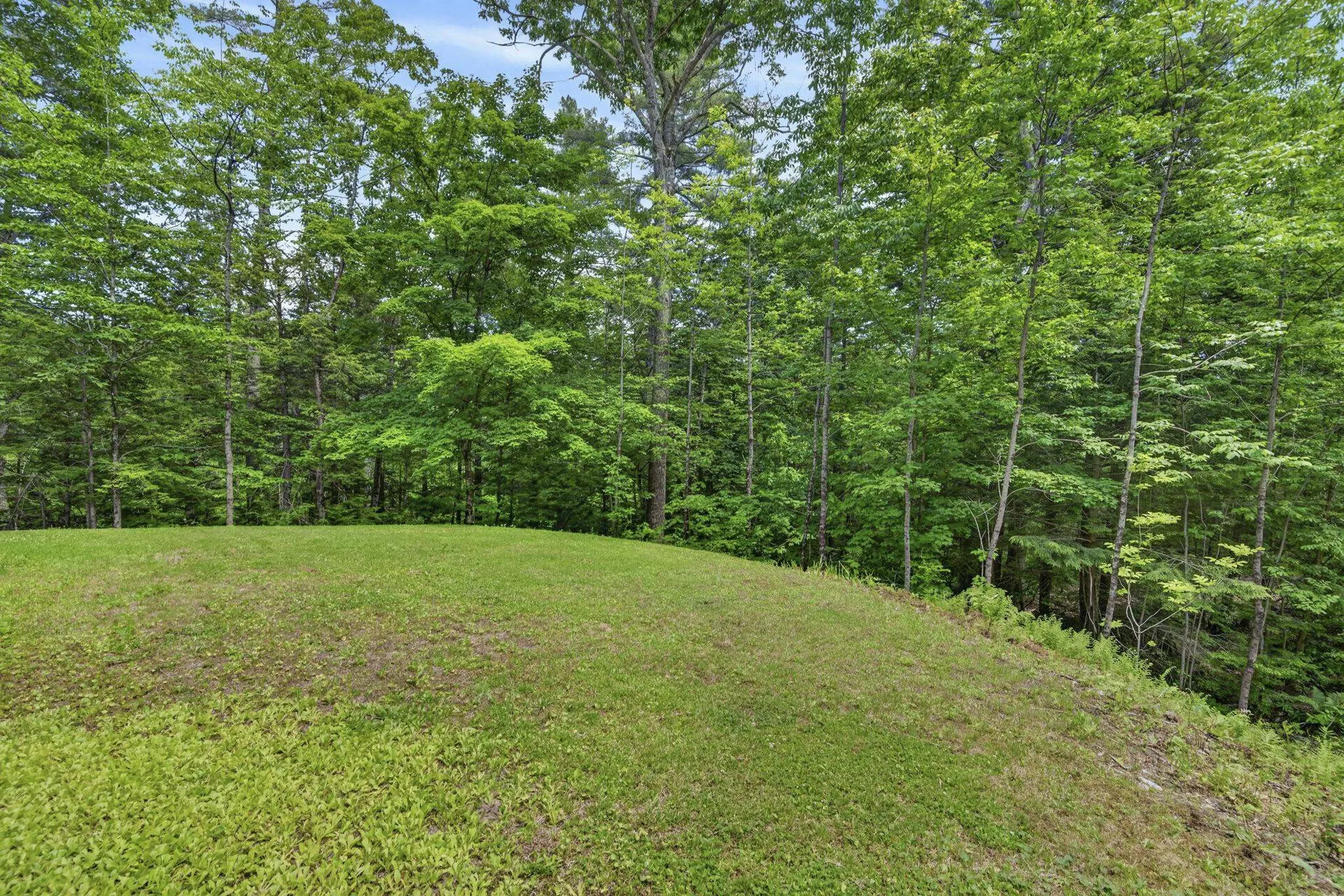 49 Shedd Road Hillsborough NH 03244