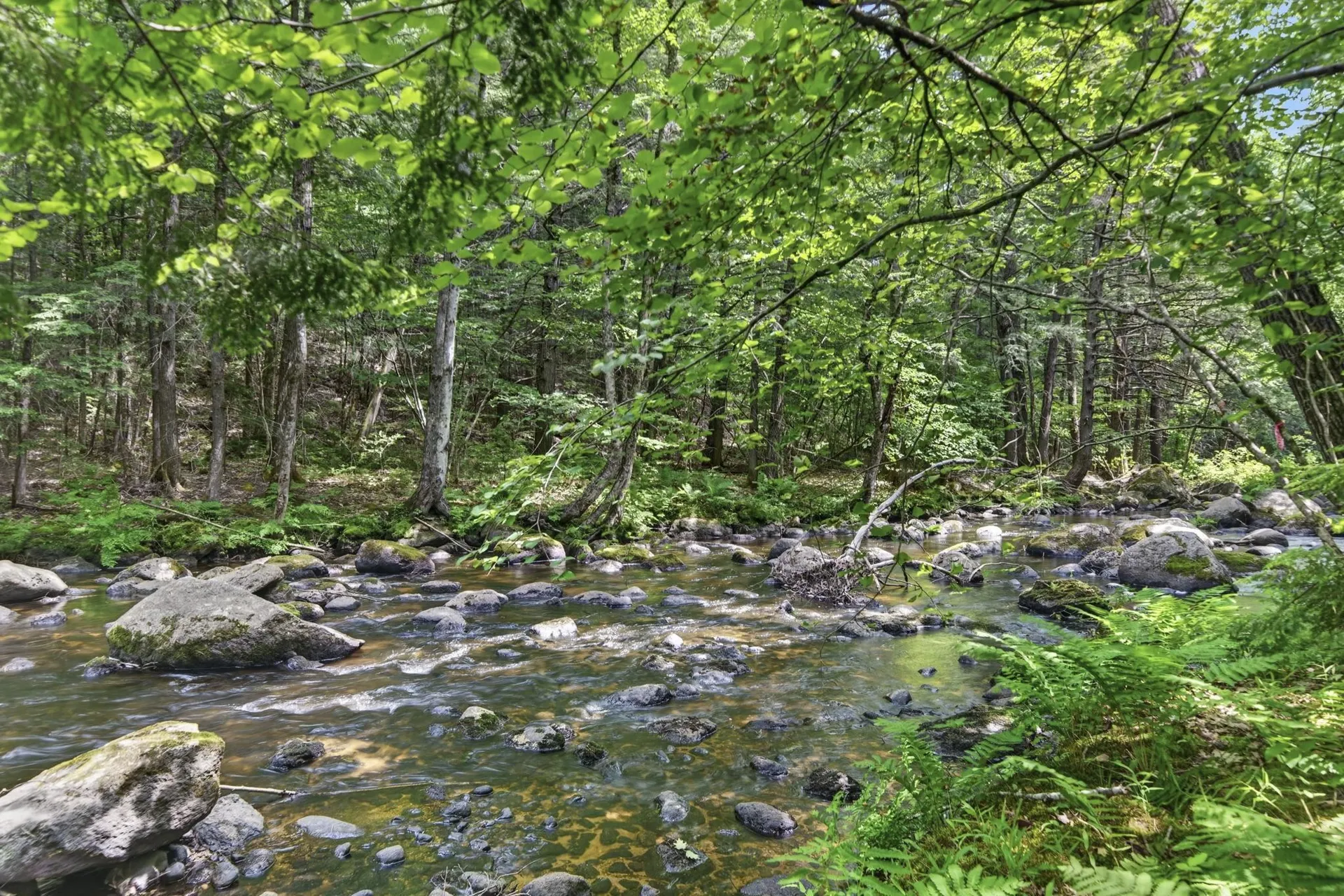 49 Shedd Road Hillsborough NH 03244
