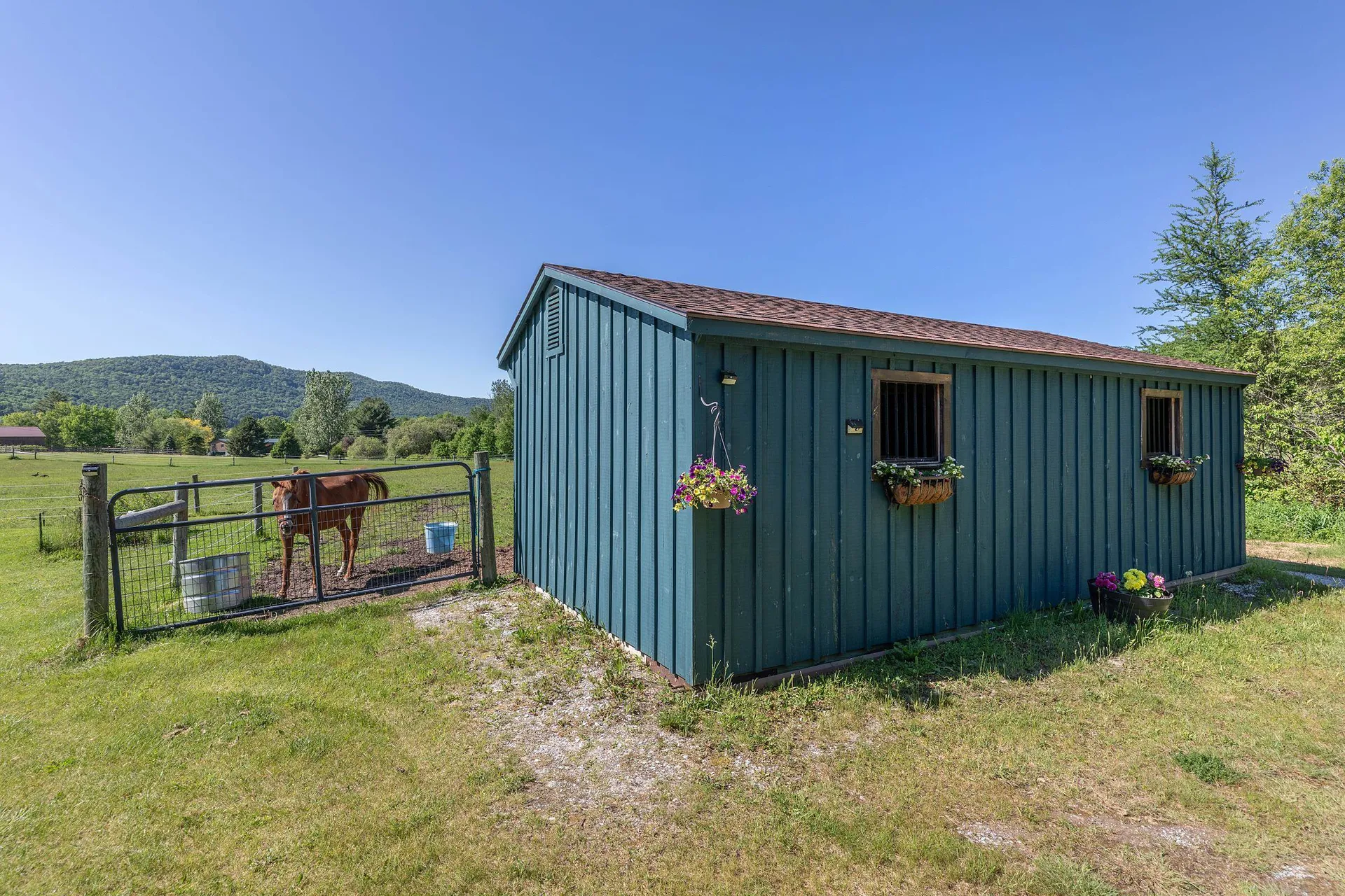 335 Tinmouth Road Danby VT 05739