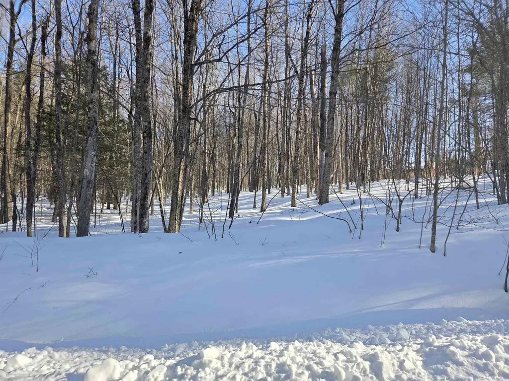 164 Lot 18-2 Mason Road Milton NH 03851